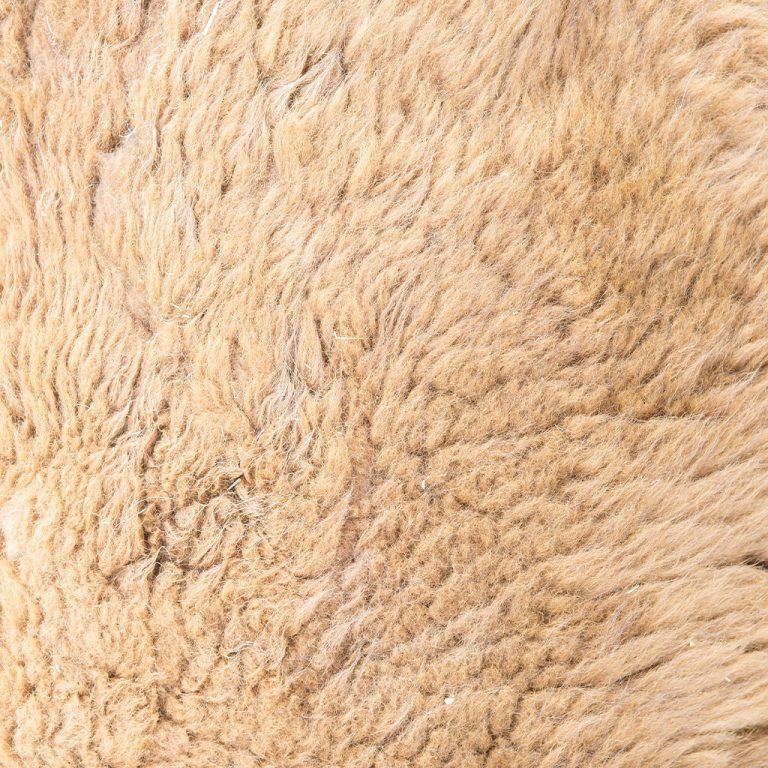 Alpaca Fiber More Valued Than Silver THE MOST TRUSTED NAME IN ALPACAS
